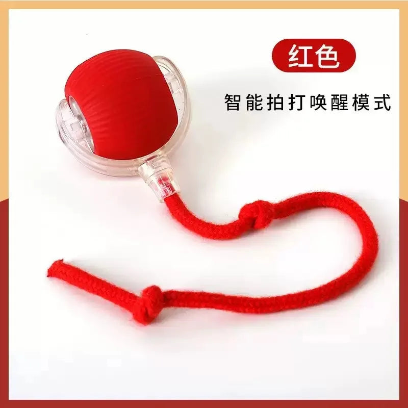 Interactive Motion Dog Ball Toy | Bite-Resistant Rechargeable Rolling Ball for Dogs