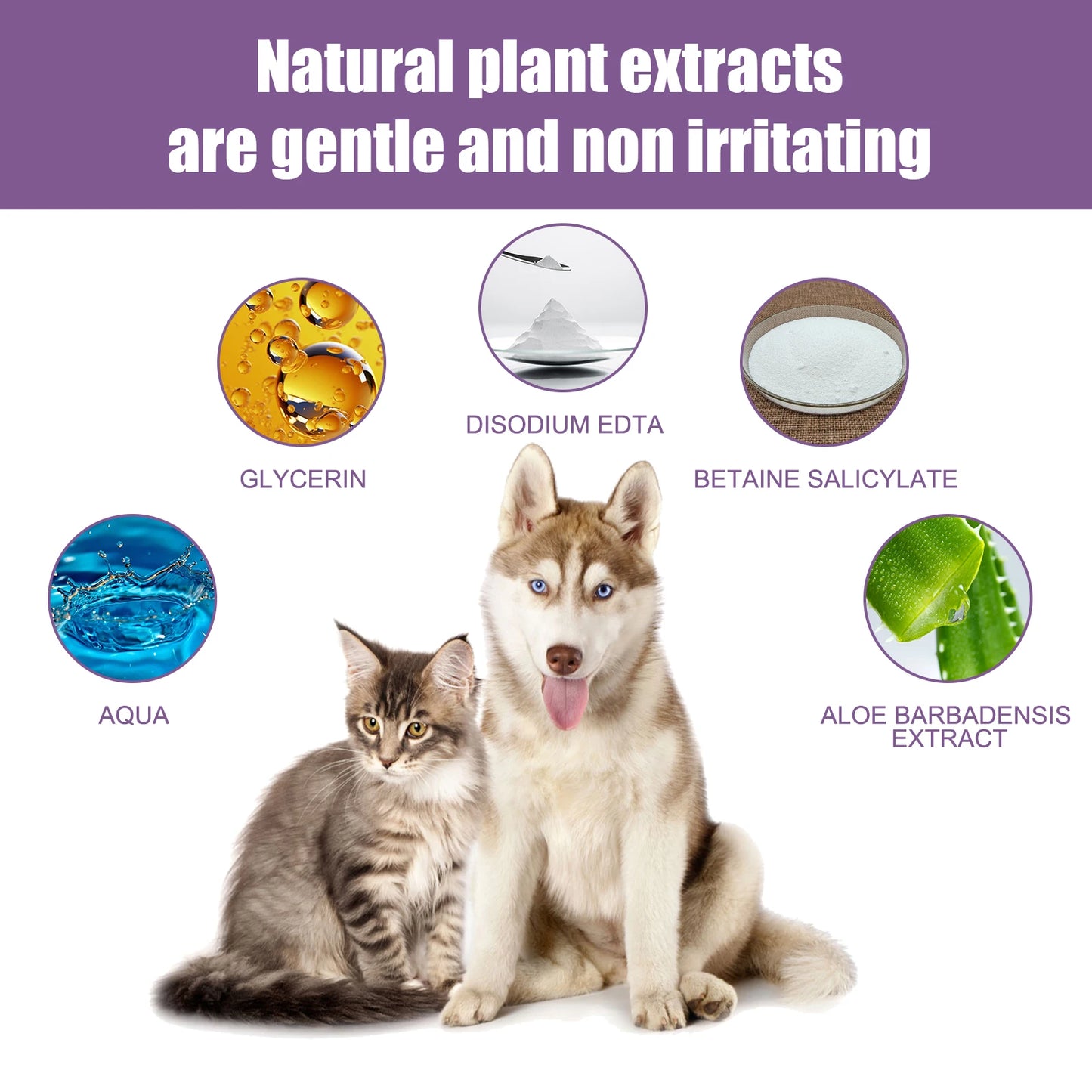 100Ml Hypoallergenic Pet Ear Cleaning Solution Gentle Non Irritating Vet Recommended Cleansing for Dog Cat Sensitive Ear
