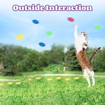 Interactive Flying Disc Launcher Toy for Cats & Dogs