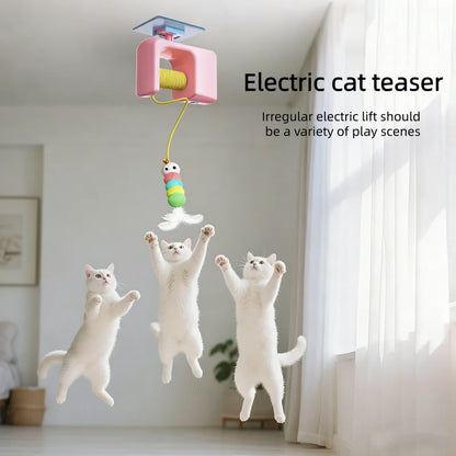 Automatic Hanging Cat Teaser Toy with Dual Feather Swing | Interactive Electric Cat Toy