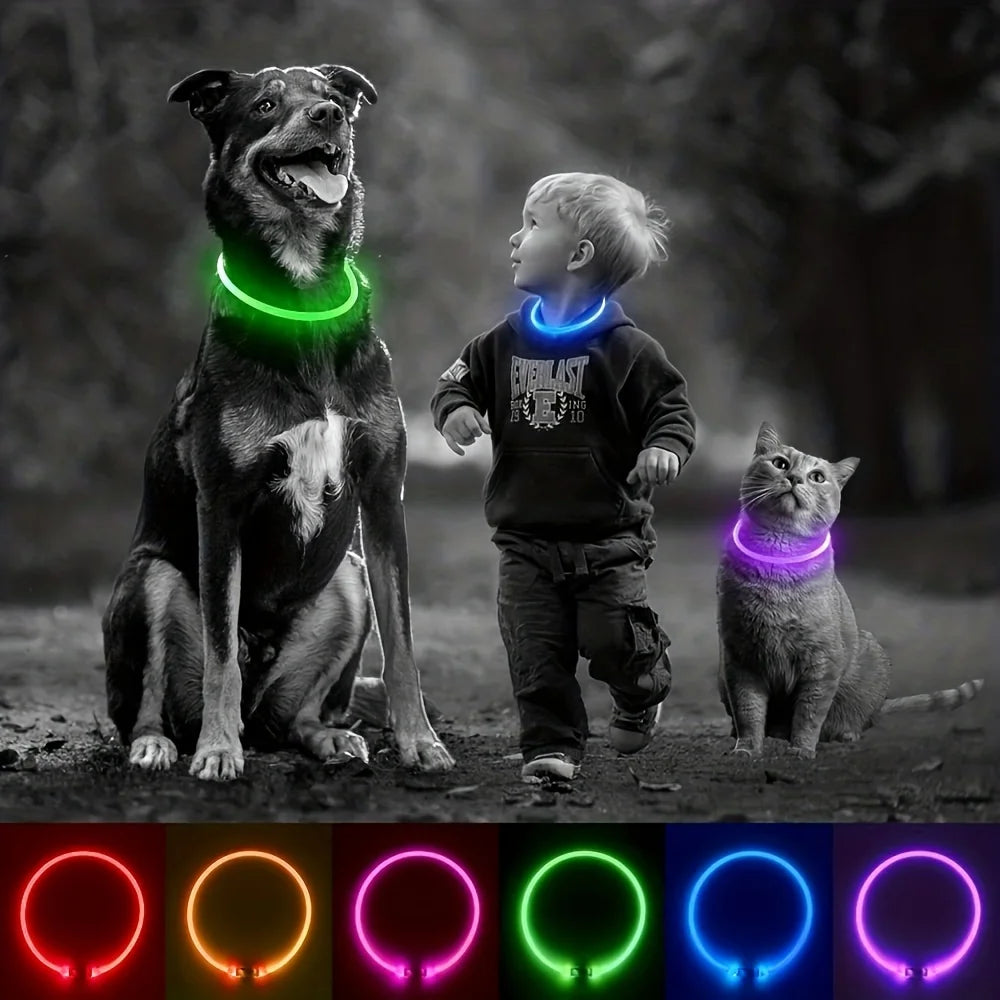 USB Rechargeable LED Dog Collar