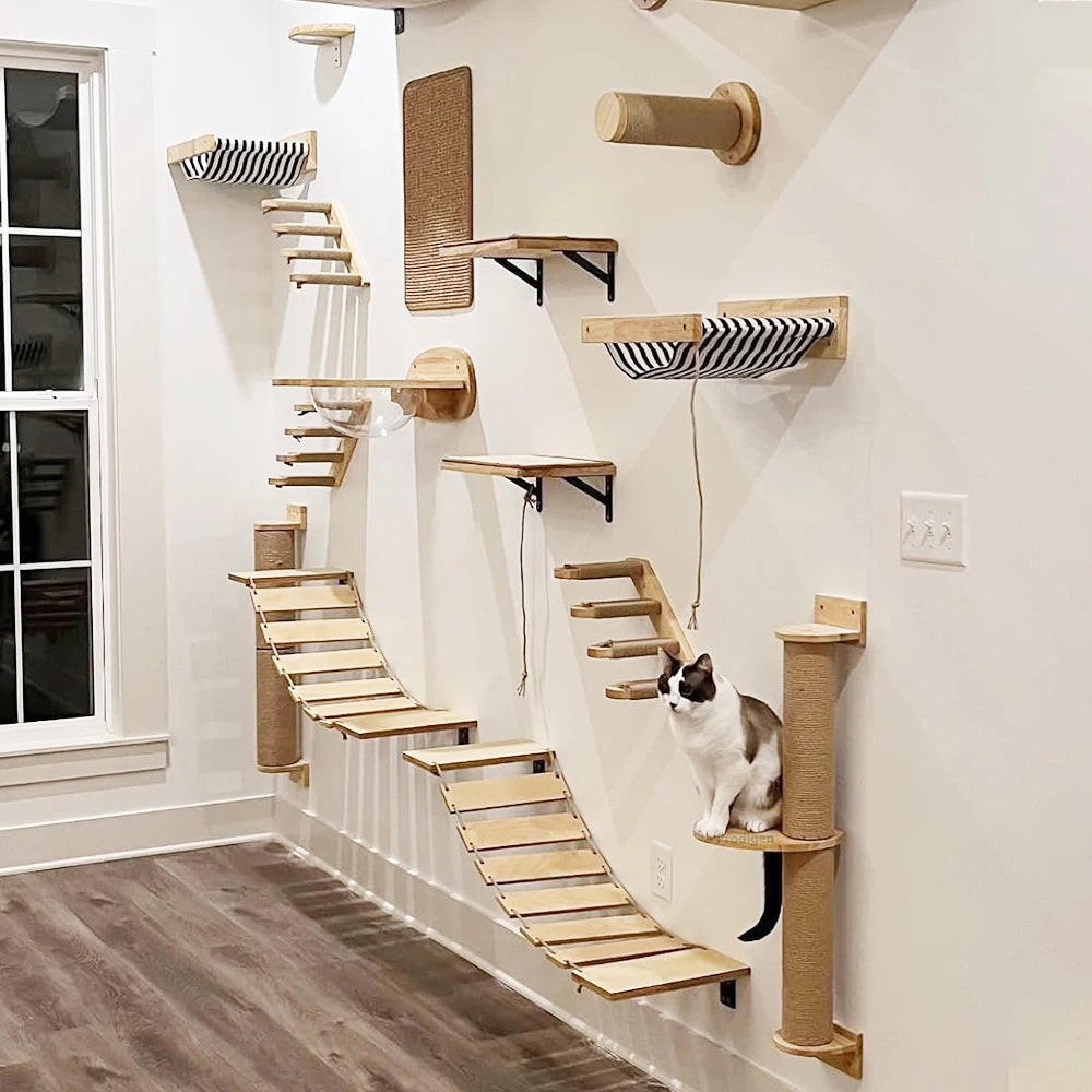 Modular Cat Wall Furniture Collection
