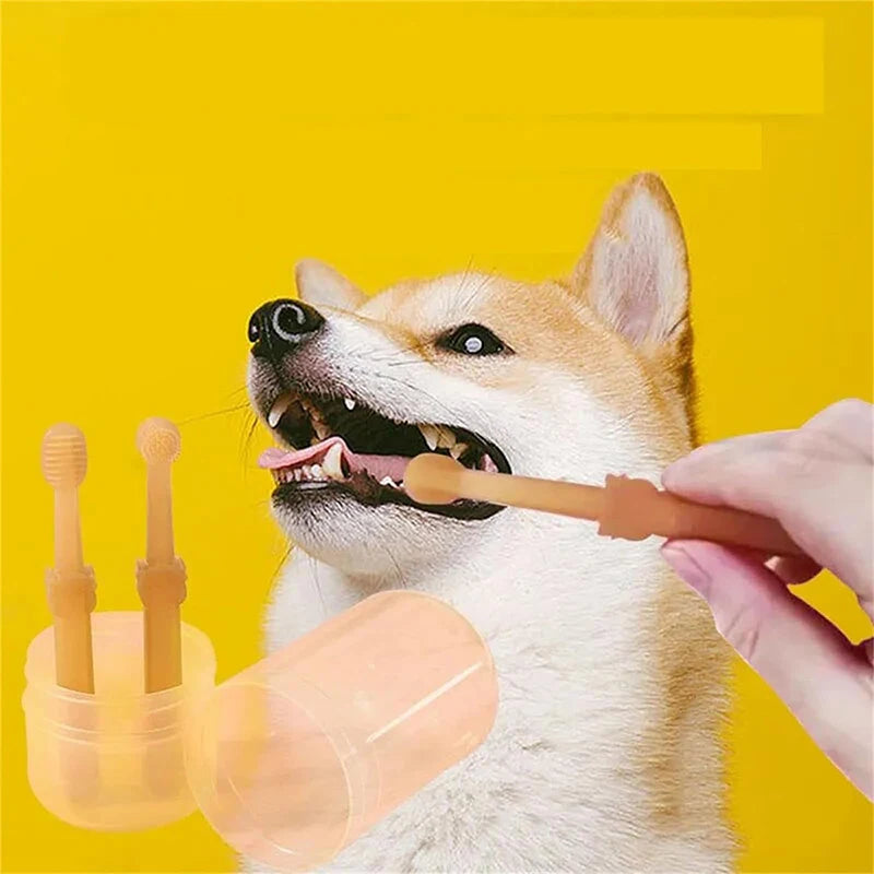 Pet Oral Care Toothbrush Set