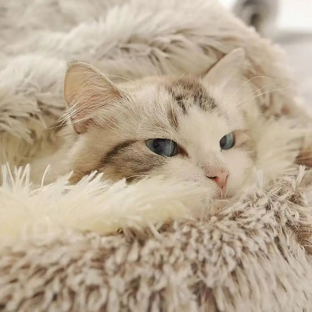 Cozy Plush Cat Cave Bed | Warm Semi-Enclosed Pet Nest for Cats & Small Dogs