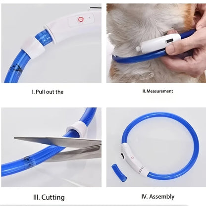 USB Rechargeable LED Dog Collar