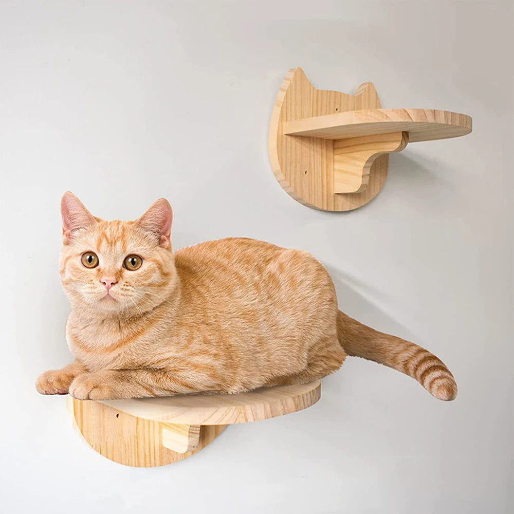 Modular Cat Wall Furniture Collection
