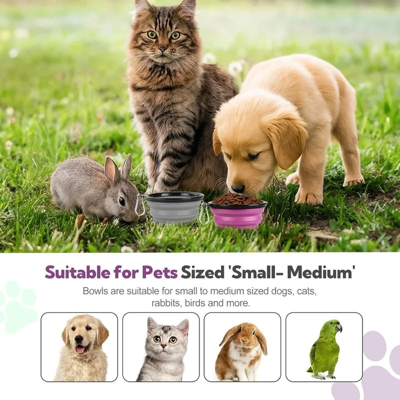 Portable Folding Silicone Dog Travel Bowl | Collapsible Pet Food & Water Dish