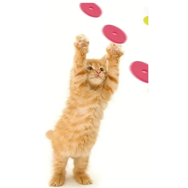 Funny Cat Toys Creative Turnip Gun with 15Pcs Reusable Foam Frisbee Pet Hunting Interactive Toy Dog Cat Pet Supplies