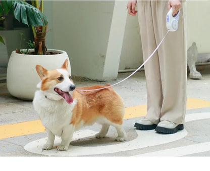 LED Retractable Dog Leash with Built-in Flashlight & Reflective Tape | 3M & 5M