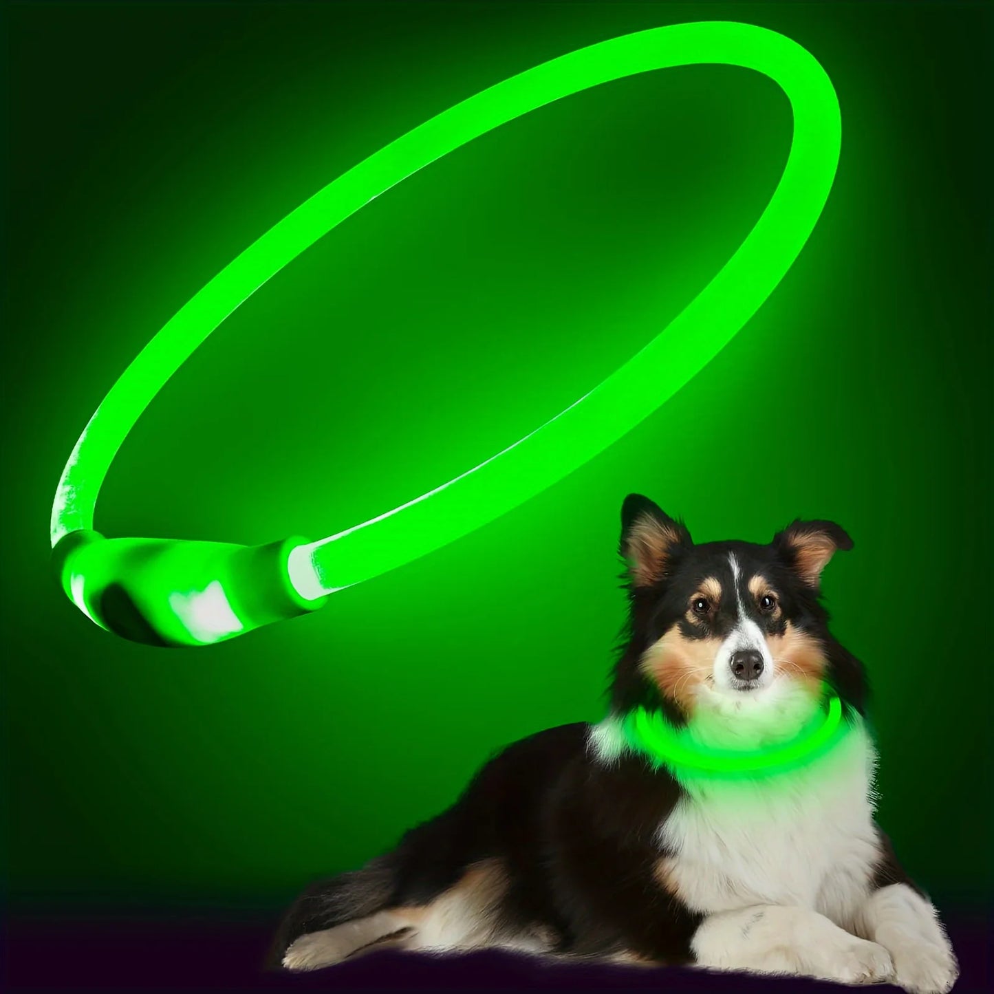 USB Rechargeable LED Dog Collar