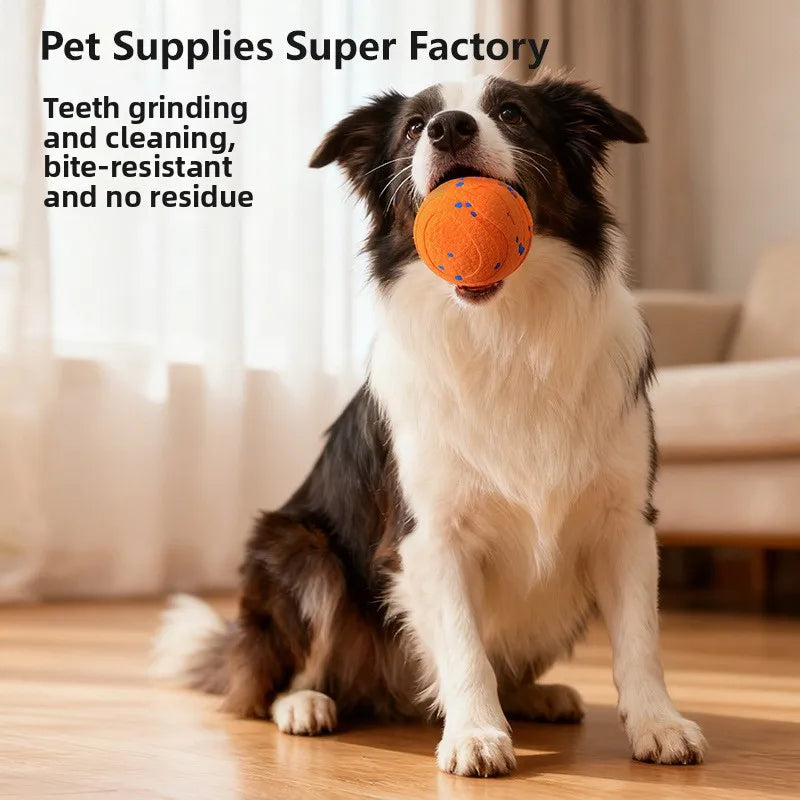 ETPU Dog Bite-Resistant Ball round Electric Non-Toxic Molar Ball Training Pet Dog Toy Ball Food Grade Certification