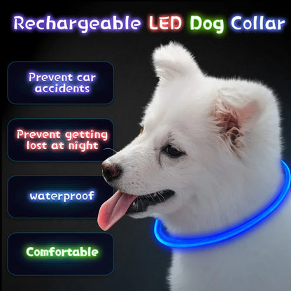 USB Rechargeable LED Dog Collar