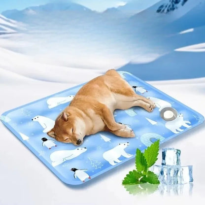 Self Cooling Pet Mat for Dogs & Cats | Refillable Water Cooling Pad | Summer Cooling Bed