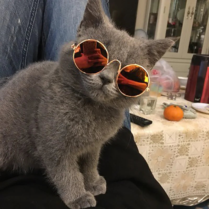 Vintage Round Pet Sunglasses for Small Dogs & Cats | Cute Photo Prop & Costume Accessory
