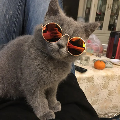 Vintage Round Pet Sunglasses for Small Dogs & Cats | Cute Photo Prop & Costume Accessory