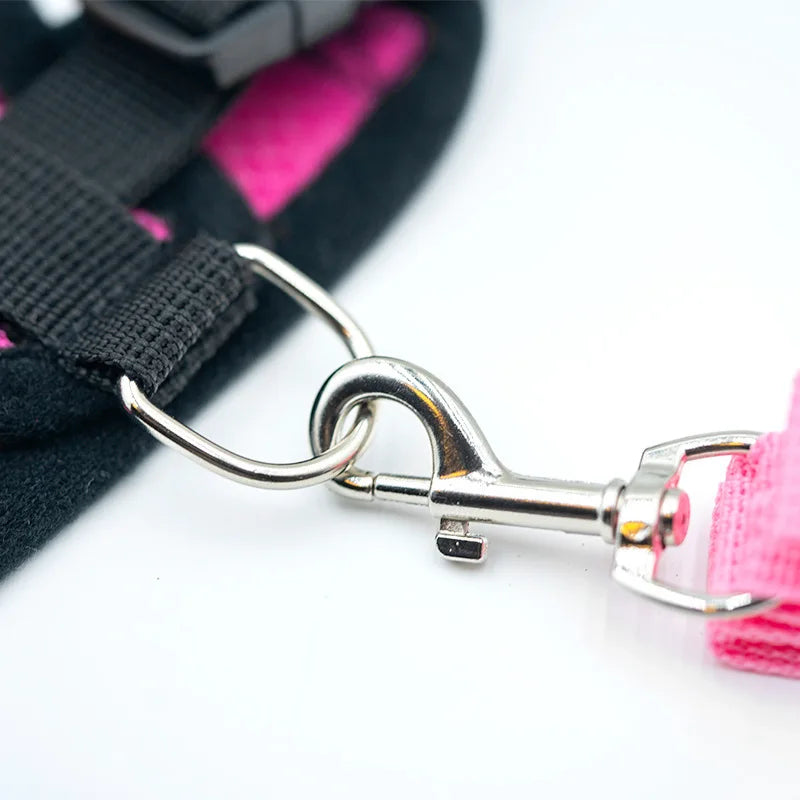 Dog Vest Walking Leash for Puppy Dog Cat Collar Polyester Adjustable Mesh Dog for Small Medium Pet Accessories