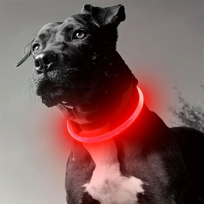 USB Rechargeable LED Dog Collar