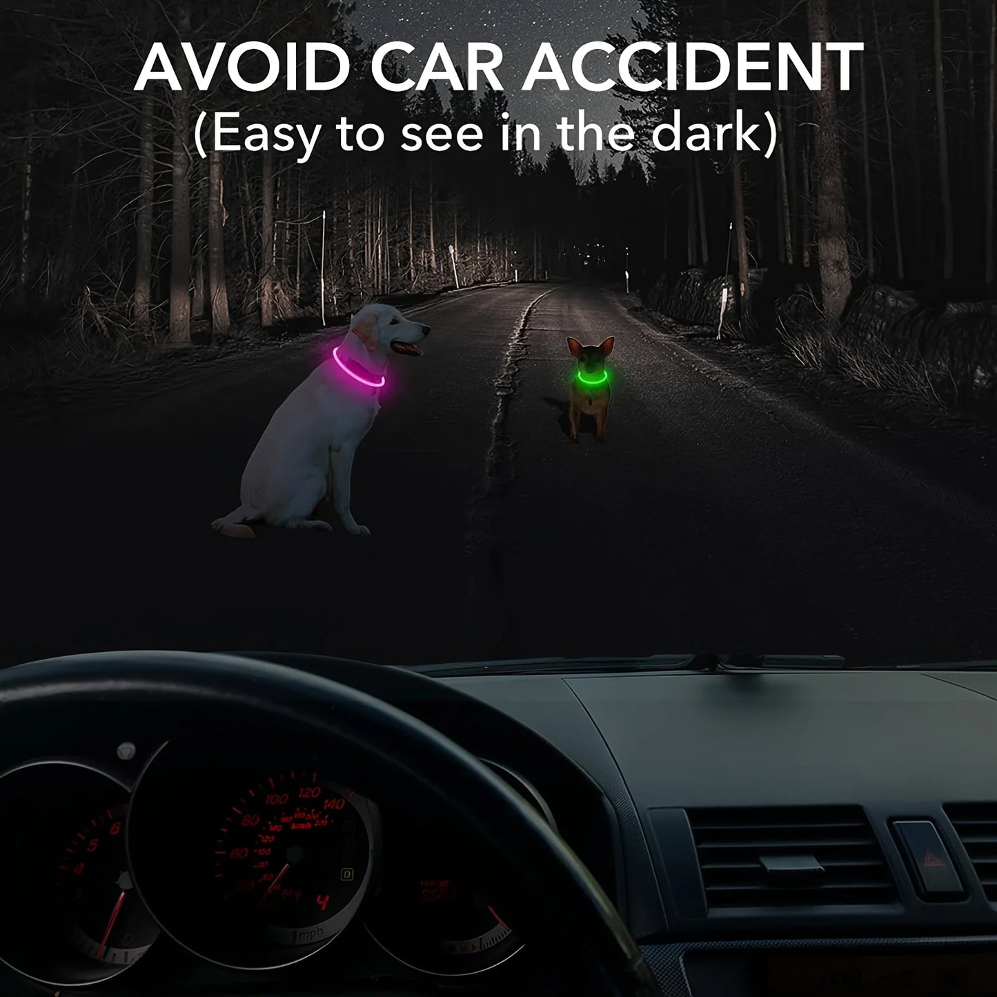 USB Rechargeable LED Dog Collar