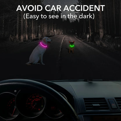 USB Rechargeable LED Dog Collar