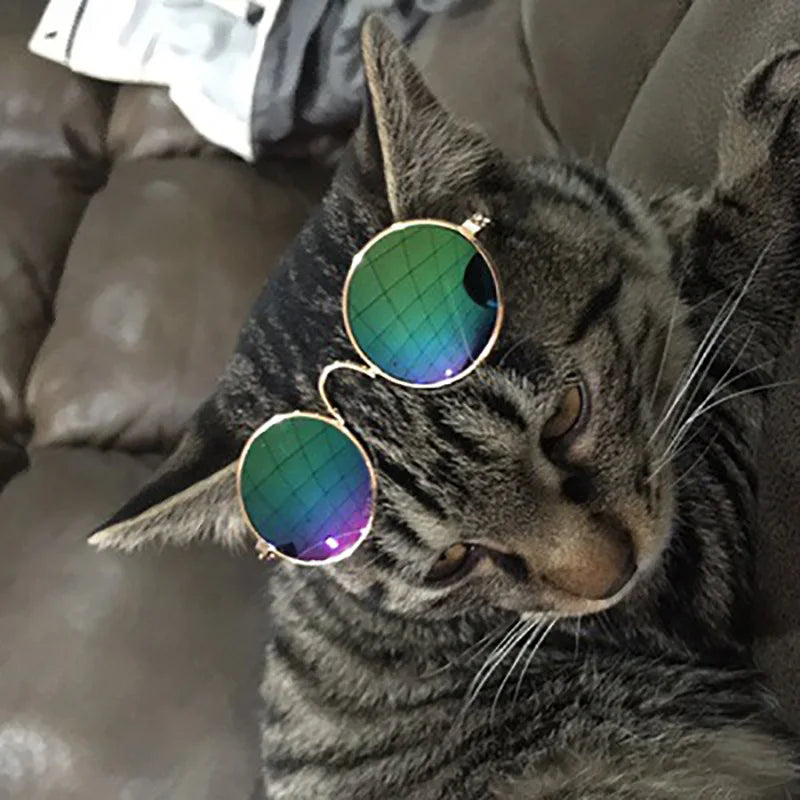 Vintage Round Pet Sunglasses for Small Dogs & Cats | Cute Photo Prop & Costume Accessory