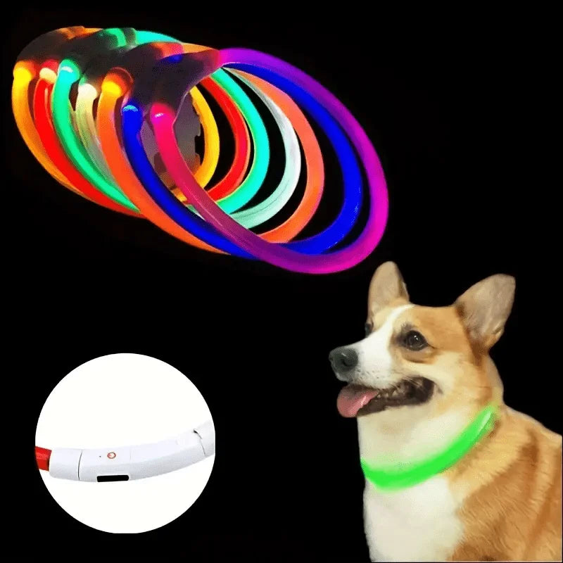 USB Rechargeable LED Dog Collar