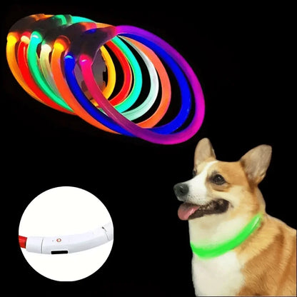 USB Rechargeable LED Dog Collar